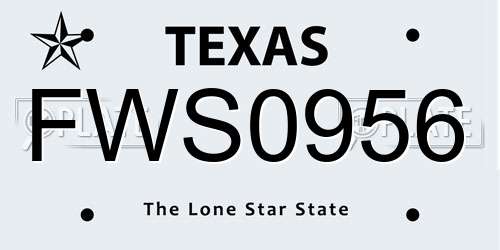FWS0956 Texas License Plate