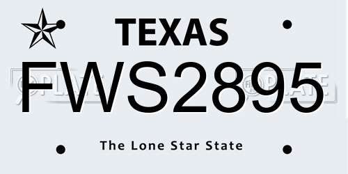 FWS2895 Texas License Plate