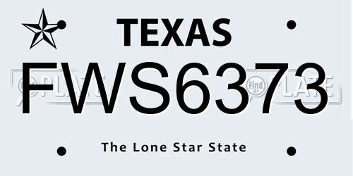 FWS6373 Texas License Plate