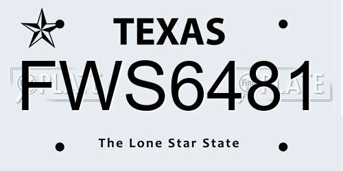 FWS6481 Texas License Plate