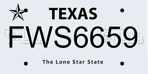 FWS6659 Texas License Plate