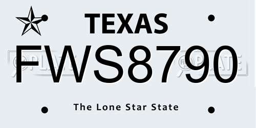 FWS8790 Texas License Plate