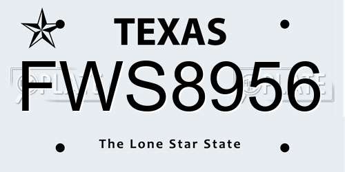 FWS8956 Texas License Plate