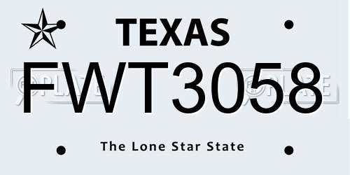FWT3058 Texas License Plate