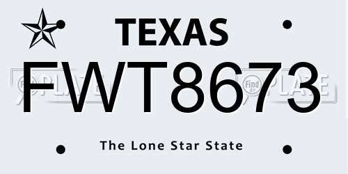 FWT8673 Texas License Plate