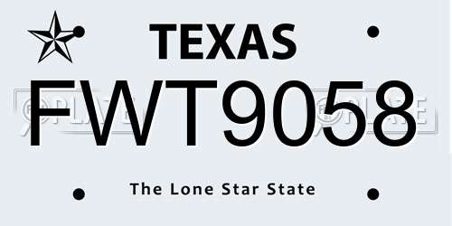 FWT9058 Texas License Plate