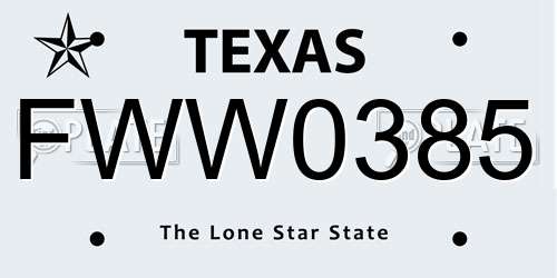 FWW0385 Texas License Plate
