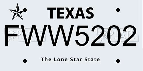 FWW5202 Texas License Plate