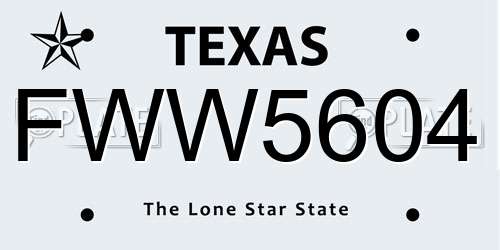 FWW5604 Texas License Plate
