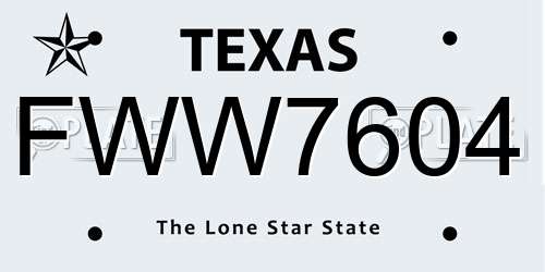 FWW7604 Texas License Plate