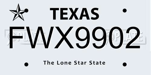 FWX9902 Texas License Plate