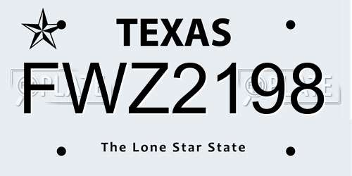 FWZ2198 Texas License Plate