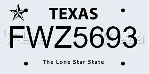 FWZ5693 Texas License Plate