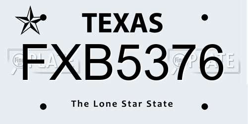 FXB5376 Texas License Plate