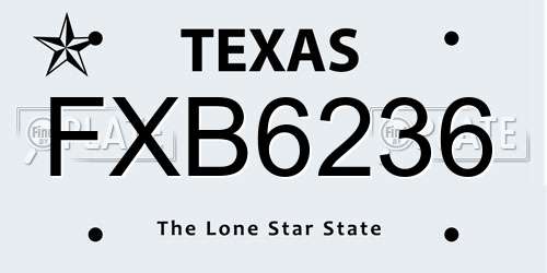 FXB6236 Texas License Plate