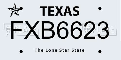 FXB6623 Texas License Plate