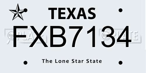 FXB7134 Texas License Plate