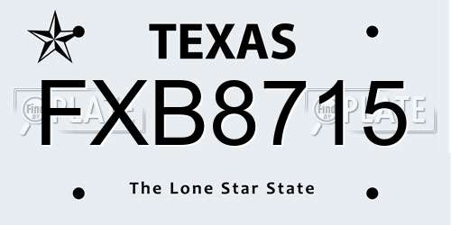 FXB8715 Texas License Plate