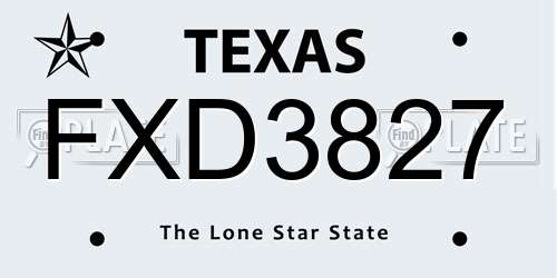 FXD3827 Texas License Plate