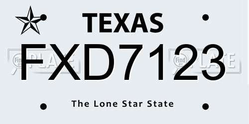 FXD7123 Texas License Plate