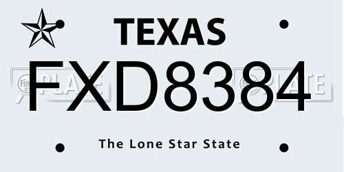 FXD8384 Texas License Plate