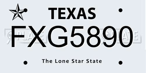 FXG5890 Texas License Plate