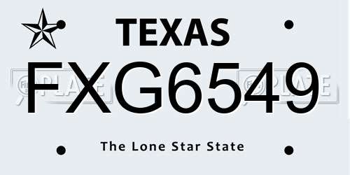 FXG6549 Texas License Plate