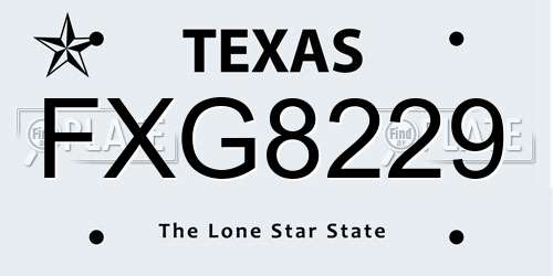 FXG8229 Texas License Plate