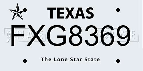 FXG8369 Texas License Plate