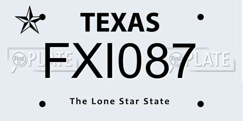 FXI087 Texas License Plate