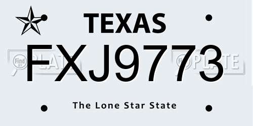 FXJ9773 Texas License Plate