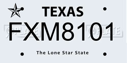 FXM8101 Texas License Plate