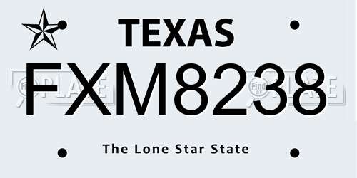 FXM8238 Texas License Plate