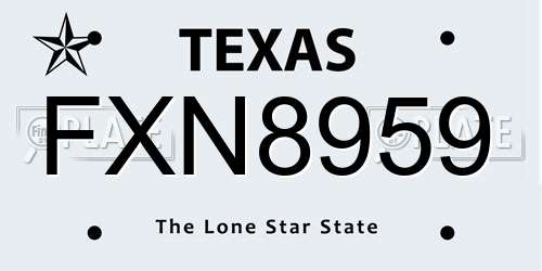 FXN8959 Texas License Plate