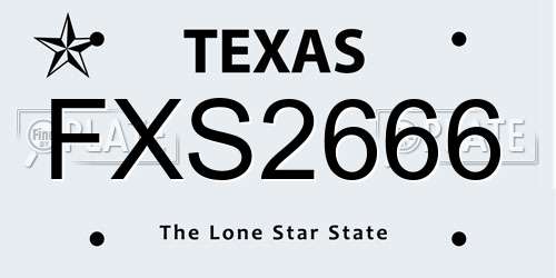 FXS2666 Texas License Plate