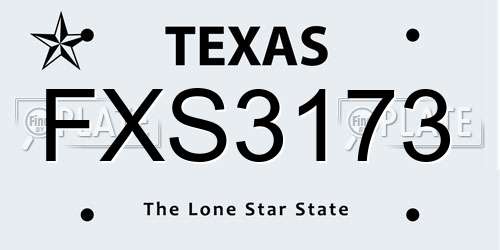 FXS3173 Texas License Plate