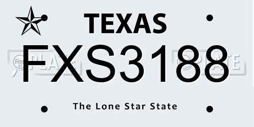 FXS3188 Texas License Plate