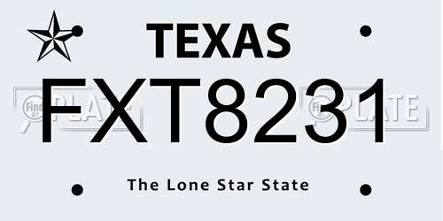 FXT8231 Texas License Plate