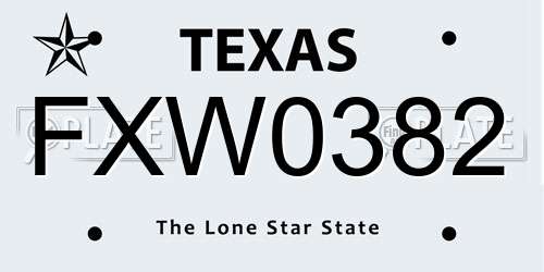 FXW0382 Texas License Plate