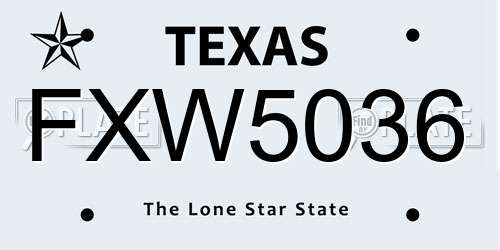 FXW5036 Texas License Plate