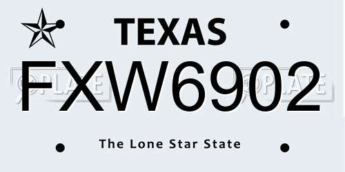 FXW6902 Texas License Plate