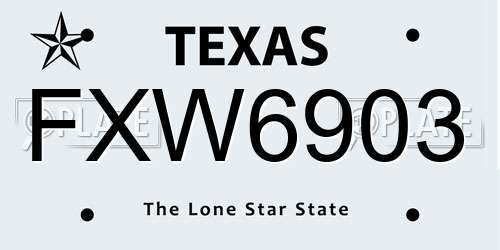 FXW6903 Texas License Plate