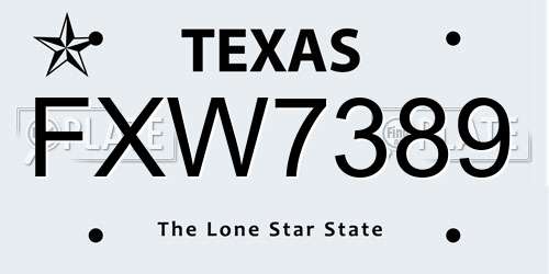 FXW7389 Texas License Plate