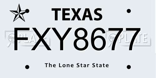 FXY8677 Texas License Plate