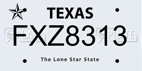 FXZ8313 Texas License Plate