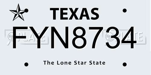 FYN8734 Texas License Plate