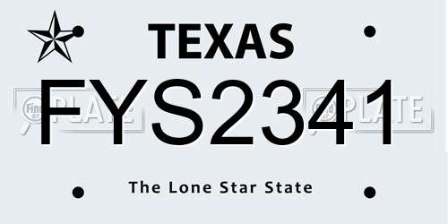 FYS2341 Texas License Plate