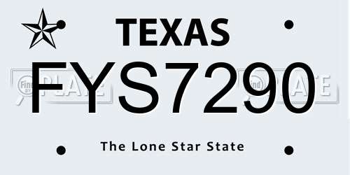 FYS7290 Texas License Plate