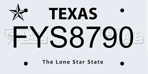 FYS8790 Texas License Plate