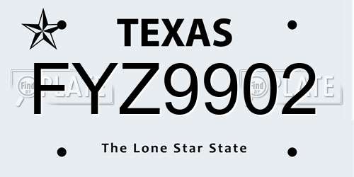 FYZ9902 Texas License Plate